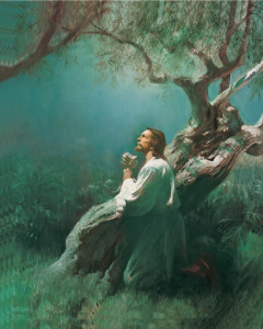 mormon-Jesus-histoire