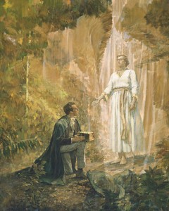 Joseph-Mormon-livre