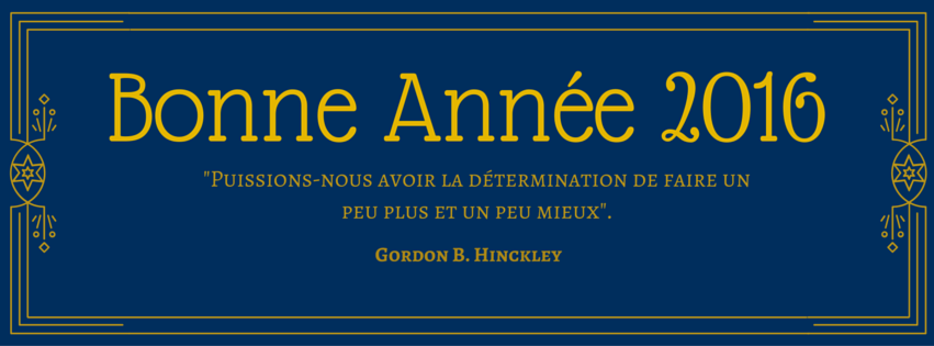 Bonne année 2016, et agissez selon vos bonnes résolutions