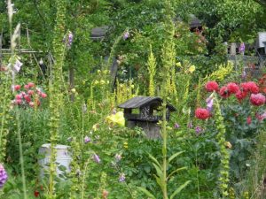 dans la vie prémortelle, des villes et jardins existaient