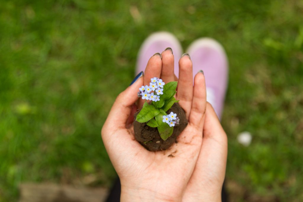 L'envie et l'orgueil sont comme des mauvaises herbes qui empêchent les bonnes semences qui apportent le bonheur de pousser