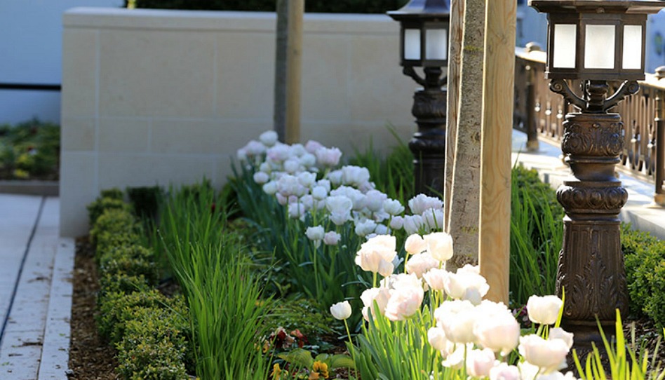 les fleurs du jardin du temple de Paris