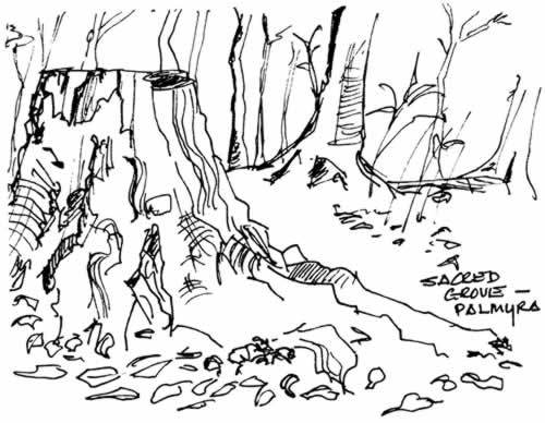 croquis du Buisson Sacré