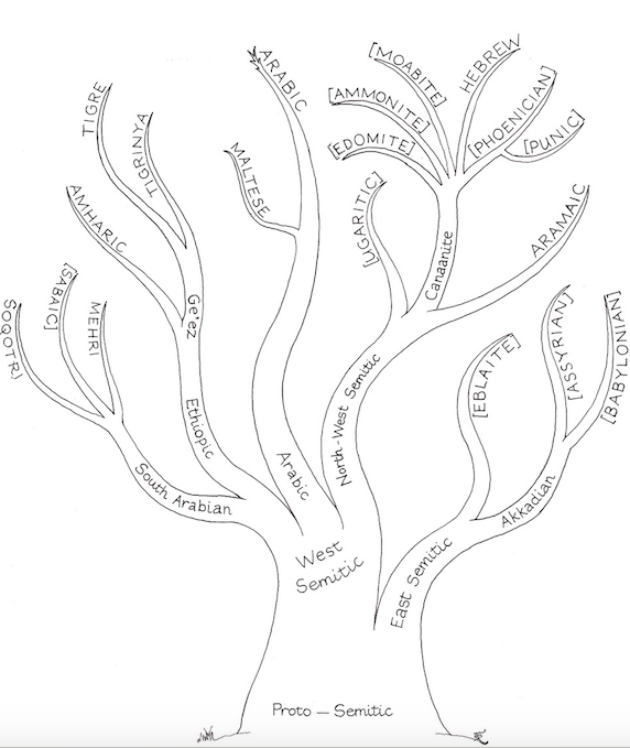 les langues indo-européennes et la tour de babel: compatibilité entre les deux?