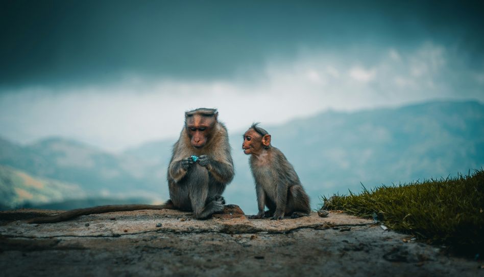 Ahmed Zayan Unsplash