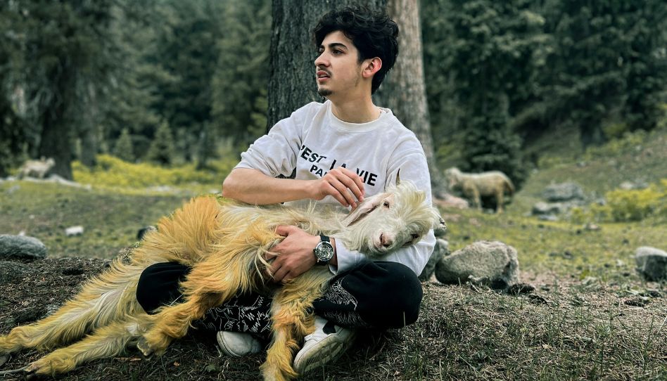 Adnan Sami Unsplash - ce que les Écritures disent sur les animaux