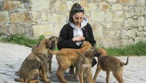 Ce que les Écritures disent sur les animaux — et pourquoi ça nous concerne