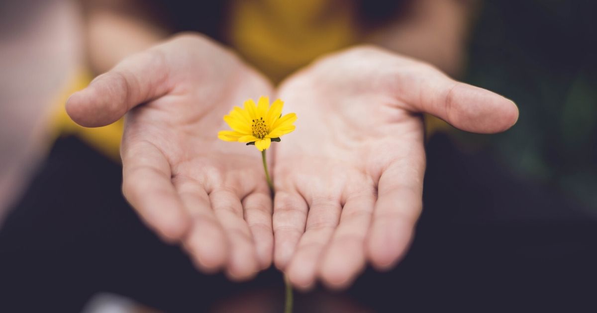 l'amour de dieu à travers des petites choses